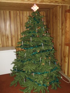 IMG_0898 - Christmas Tree